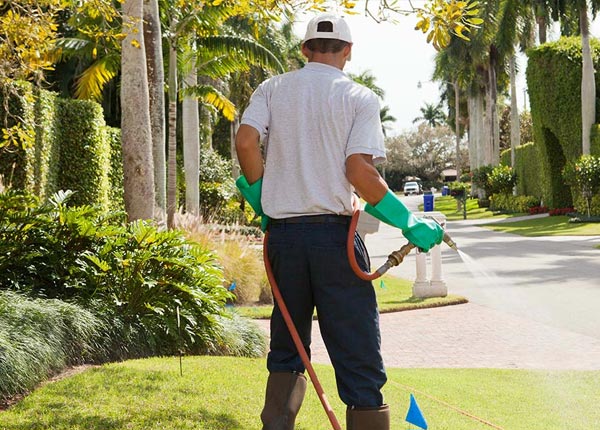 About Melvin IL Pest Control
